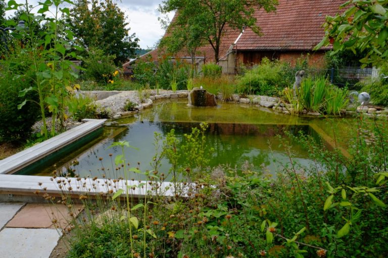 Naturteich umgeben von Pflanzen und einem historischen Gebäude.