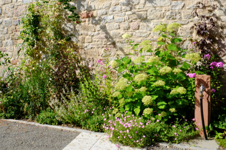 Blumenbeet mit grünen und bunten Pflanzen vor einer Steinwand.